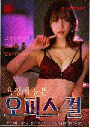 年代剧集字幕版本对比观察手账封面